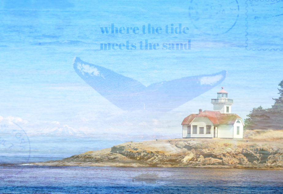 caption: A collage of the Patos Lighthouse with the tail of a humpback whale and other photos of beaches.