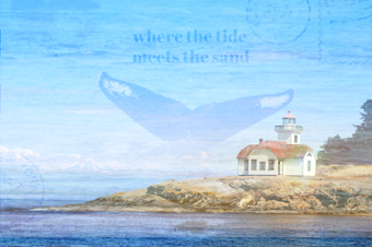 caption: A collage of the Patos Lighthouse with the tail of a humpback whale and other photos of beaches.