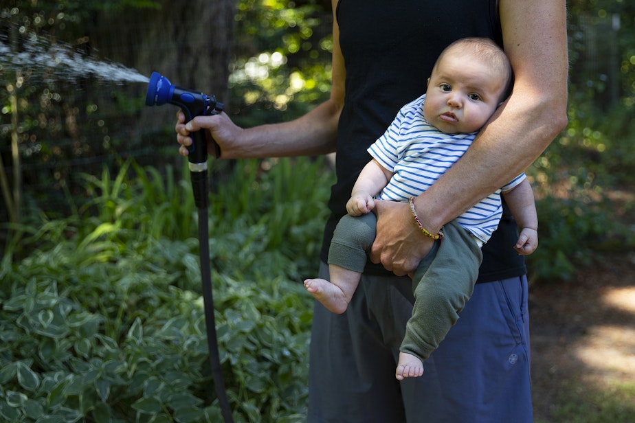 caption: Skyler Vella holds his 2-month-old son Arlo while watering the garden on Tuesday, July 16, 2024, at their home on Bainbridge Island.