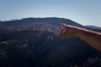 caption: Dan Efseaff of the Paradise Recreation and Park District points to where the fire came over the ridge and into Paradise. Cal Fire determined that the fire started near the rural community of Pulga, east of Paradise.
