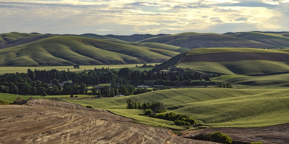 caption: The city of Waitsburg, WA, which inspired a poem about a historic flood.