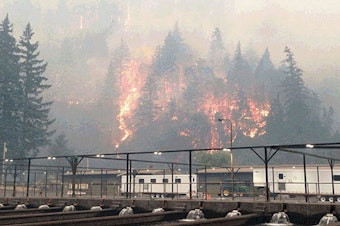 caption: The Eagle Creek Fire as seen from the Cascade Locks Hatchery. To keep hatchery fall chinook from dying because of the fire, Oregon officials released them early.CREDIT: OREGON DEPARTMENT OF FISH AND WILDLIFE