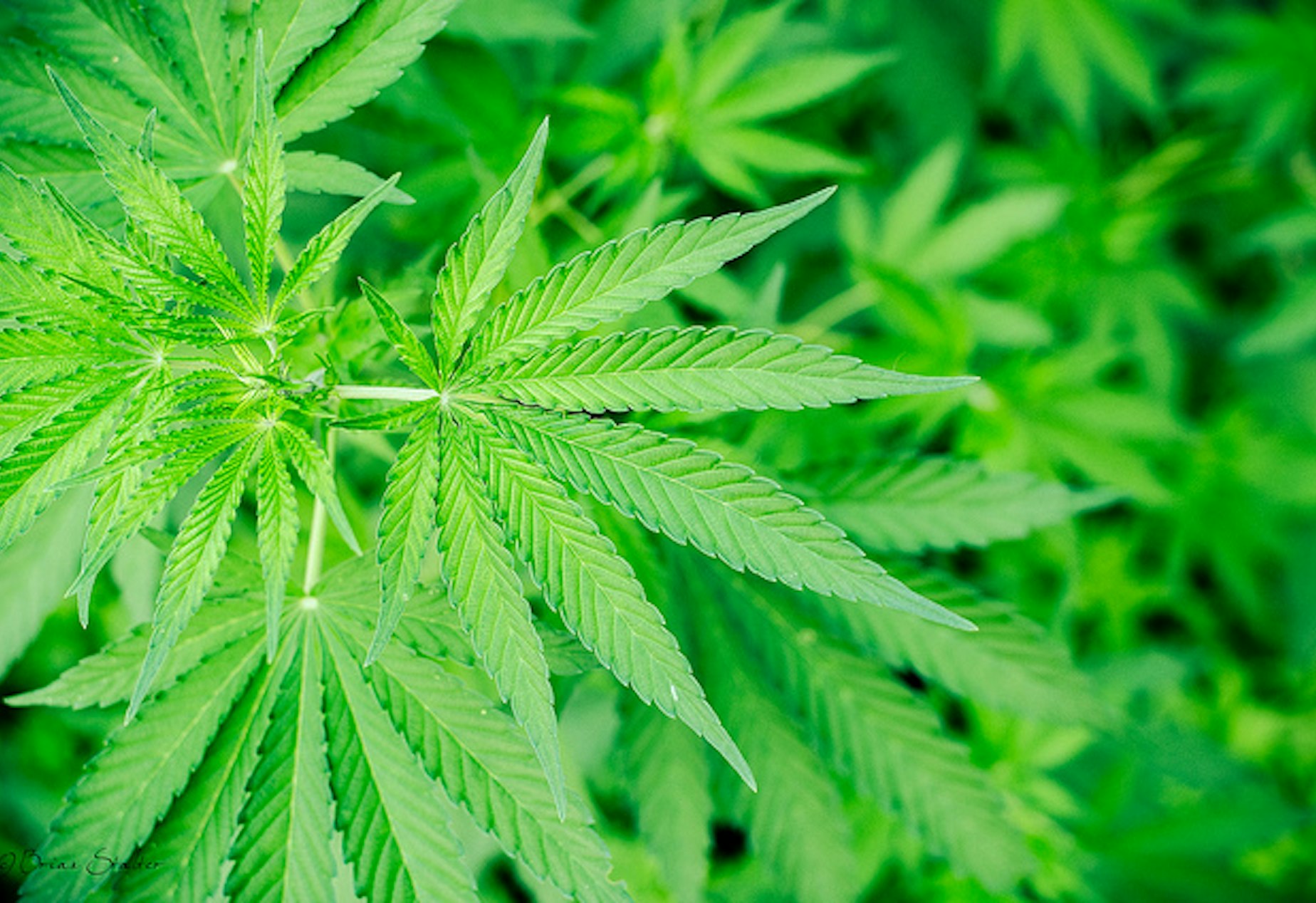 recreational kuow