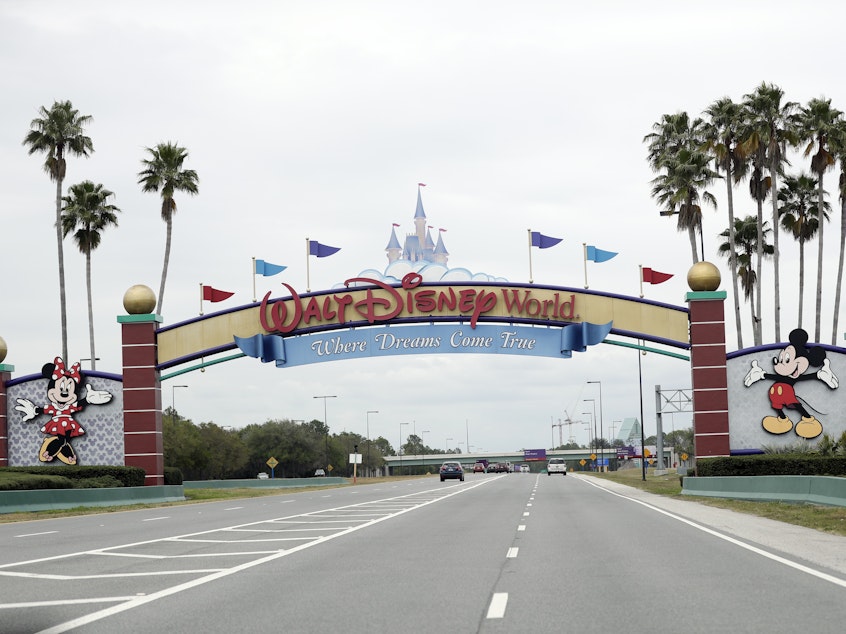 caption: A woman has sued Walt Disney Parks and Resorts for negligence, claiming a ride down a water slide at Florida's Disney World left her severely injured.