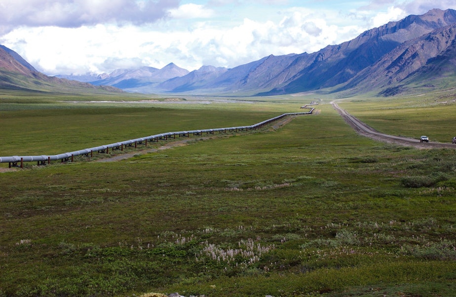 caption: Trans-Alaska Pipeline, northern Brooks Range, Alaska. Rocks in the background produce oil on the North Slope.