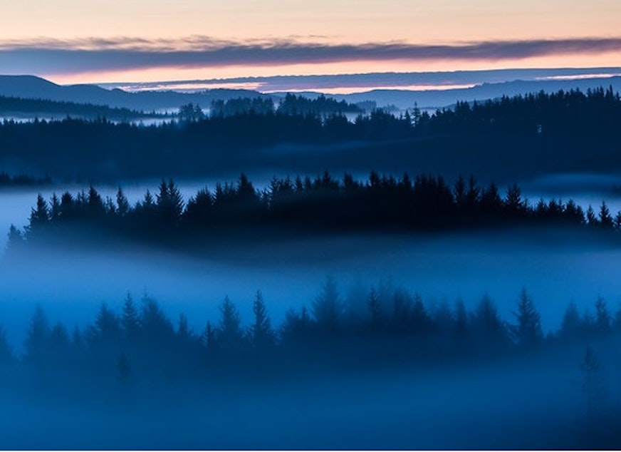 fog drenched Oregon coast
