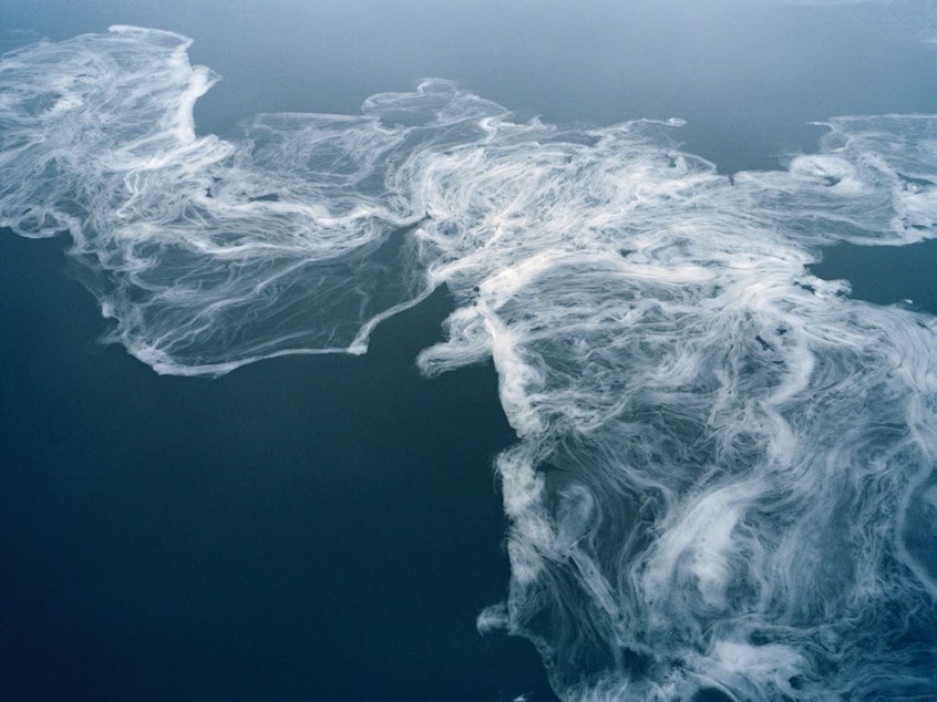 caption: Water gradually turns to ice on the Volga Delta. Astrakhan, Russia, 2012.