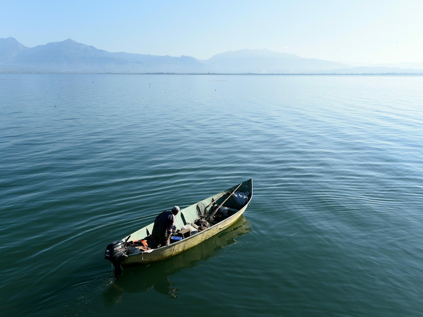 caption: Overfishing and poaching have been detrimental to marine wildlife, including the Shkodra's lake, a body of water that straddles Albania and Montenegro, which is shown above.