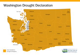 caption: The Washington State Department of Ecology declared a drought emergency for the entire state on April 16, 2024, excluding the Seattle, Tacoma, and Everett areas.  