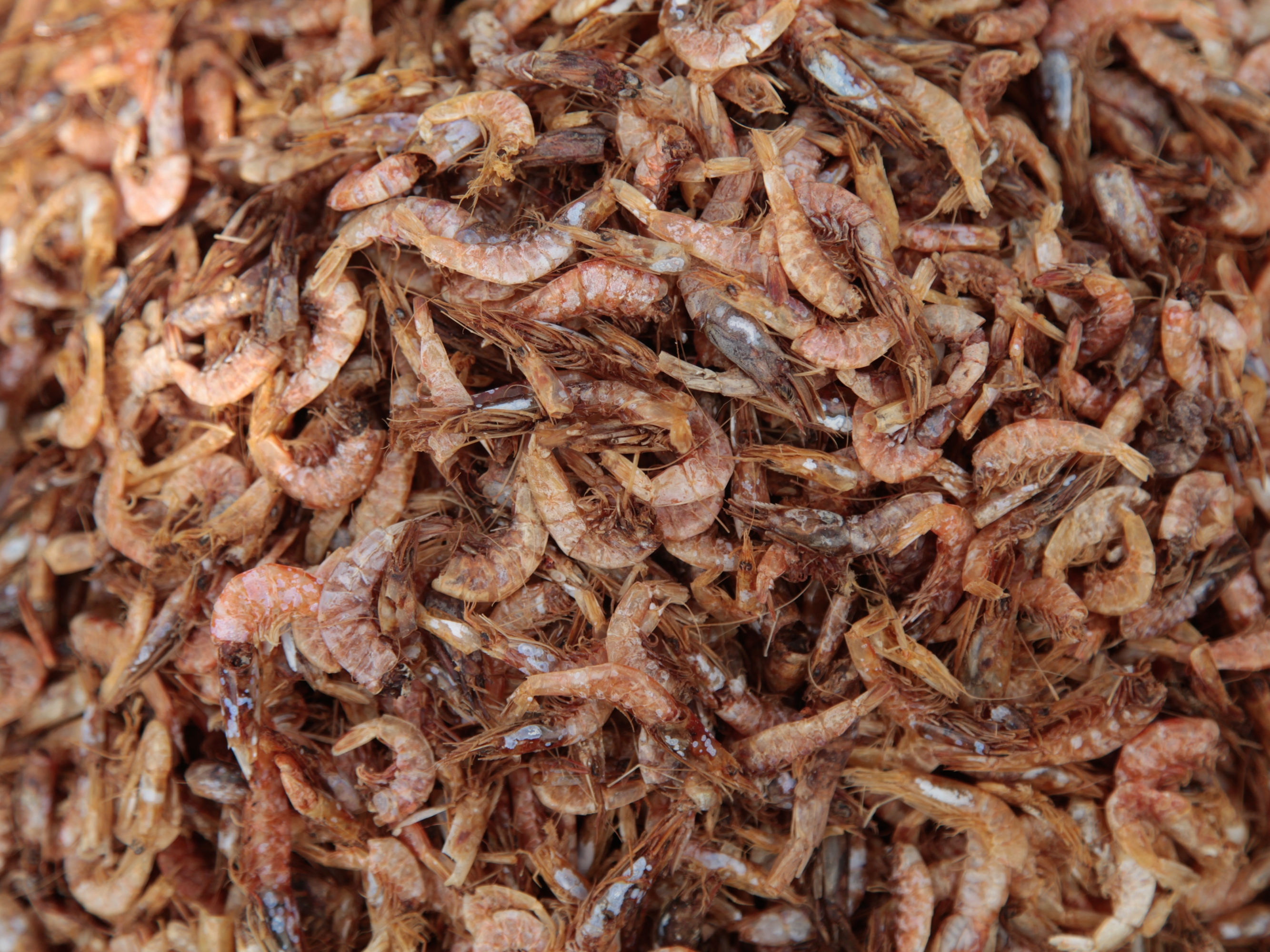 caption: Mounds of dried shrimp sit at India's port of Visakhapatnam, where much of the economy is based around seafood exports — chiefly frozen shrimp to the U.S.