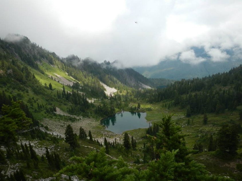 caption: Seven Lakes Basin in Olympic National Park.