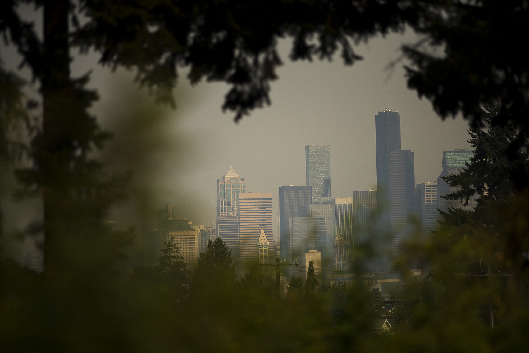 caption: The Seattle skyline is shown shrouded in smoke from wildfires burning in Canada, on Friday, August 13, 2021, from Jefferson Park in Seattle.
