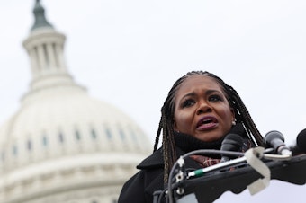 caption: Rep. Cori Bush, D-Mo., speaks at a press conference on the Israel-Hamas war outside of the Capitol late last year.