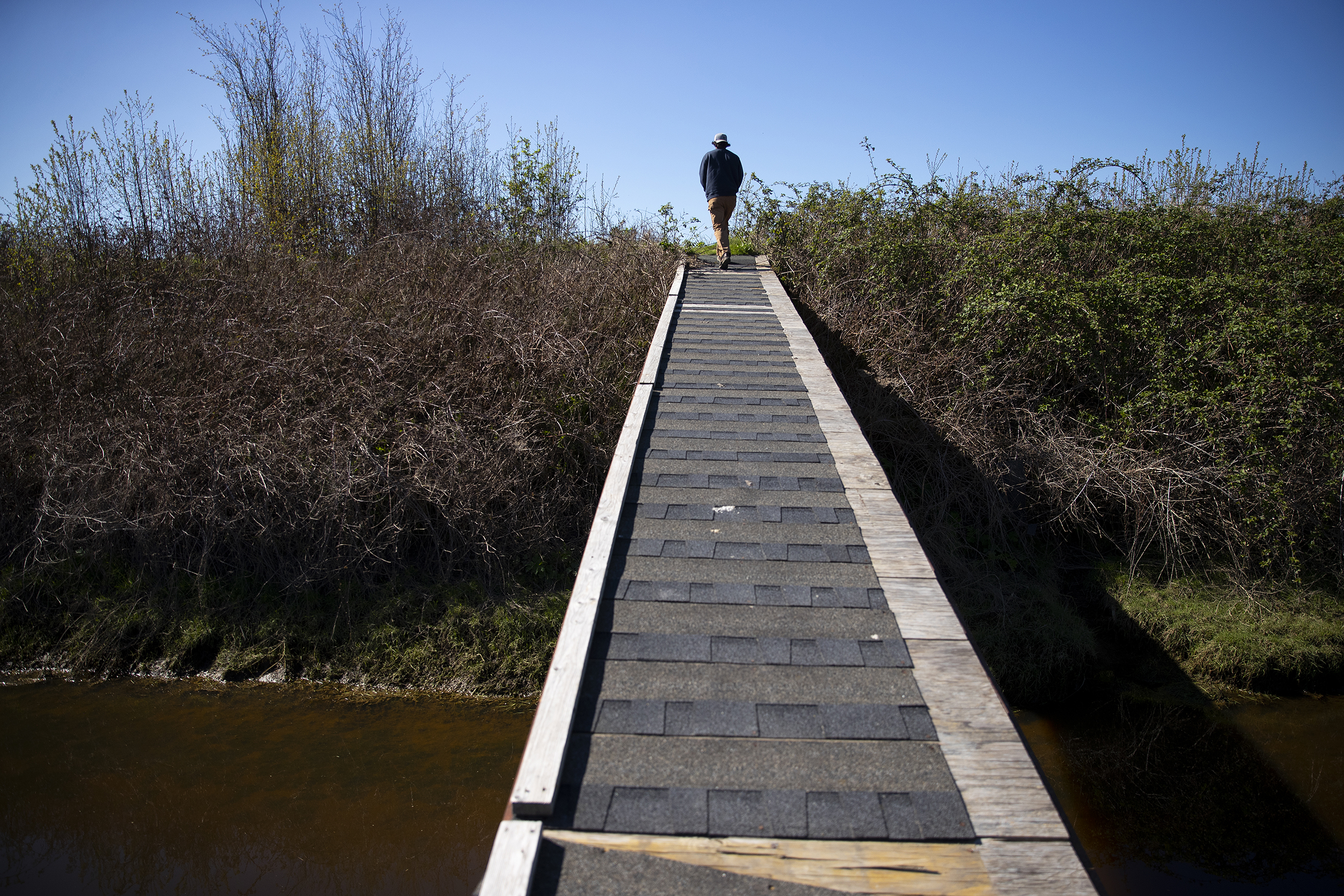 caption: Fifth-generation farmer Tyler Breum crosses a footbridge onto a levee next to his farm on April 8, 2026, near Stanwood, Washington.