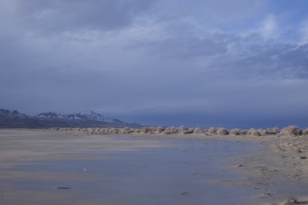 caption: Receding water in Utah's Great Salt Lake is seen on March 5. Environmentalists are suing the state to force water cutbacks to farmers to save the Great Salt Lake.