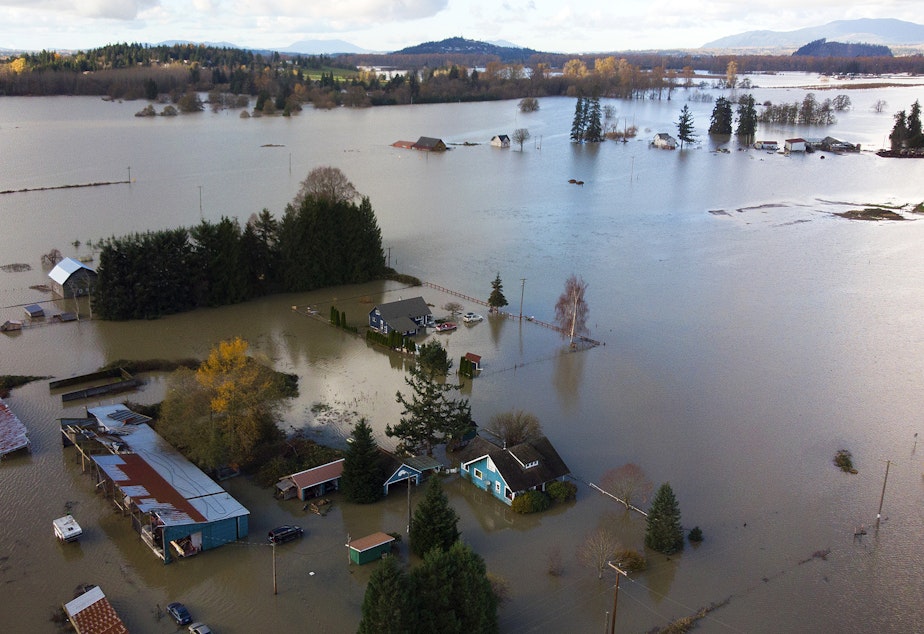 caption: Skagit River flood waters surround homes east of Mount Vernon on Nov. 16, 2021. 