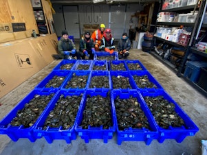 caption: Trapping technicians from the Ahousaht, Tla-o-qui-aht, and Ucluelet First Nations and the Coastal Restoration Society pose next to more than 10,000 European green crabs caught on Dec. 6 in Clayoquot Sound on the west coast of Vancouver Island.