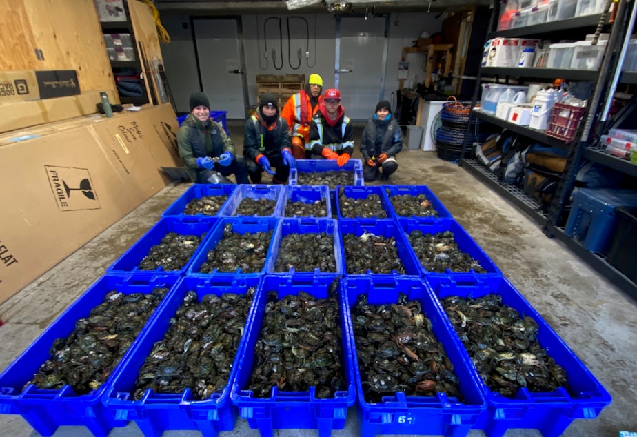 caption: Trapping technicians from the Ahousaht, Tla-o-qui-aht, and Ucluelet First Nations and the Coastal Restoration Society pose next to more than 10,000 European green crabs caught on Dec. 6 in Clayoquot Sound on the west coast of Vancouver Island.