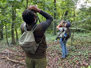 caption: Tykee James, president of the DC Audubon Society, and Erin Connelly, holding her 10-month-old son, Louis, search in the treetops in Fort Slocum Park in Washington, D.C.