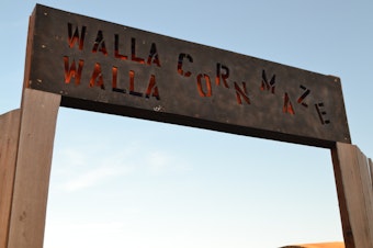 caption: The Walla Walla Corn Maze is one of the many Northwest attractions to enjoy this Halloweenseason. The maze features family friendly hours and a “Spooktacular” version later this month.CREDIT: T.J. Tranchell/NWPB