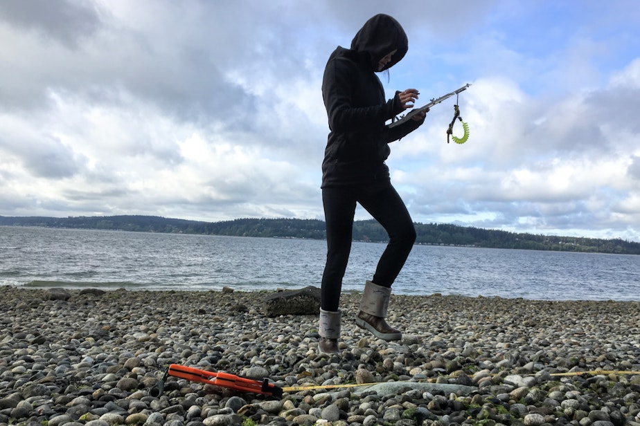 caption: Elise Foot Puchalski of Edmonds practices taking measurements along a transect line before heading underwater at Camano Island State Park.