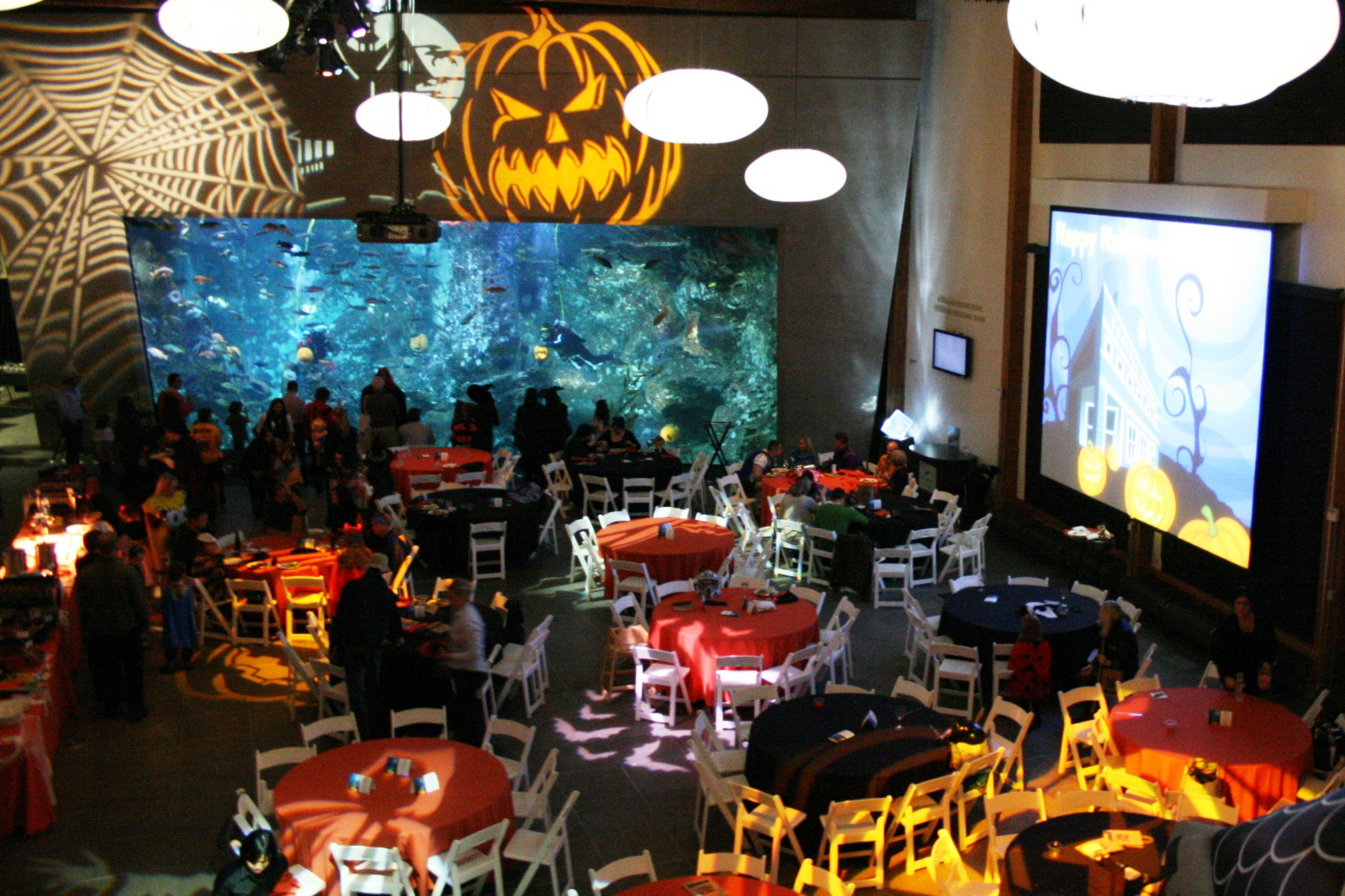 caption: Halloween at the Seattle Aquarium