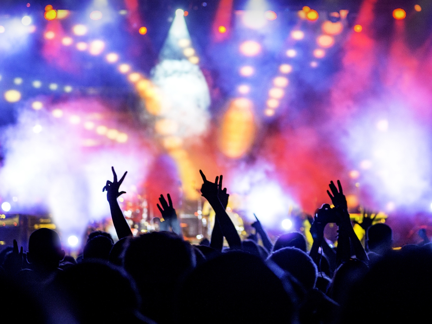 caption: Cheering crowd at concert