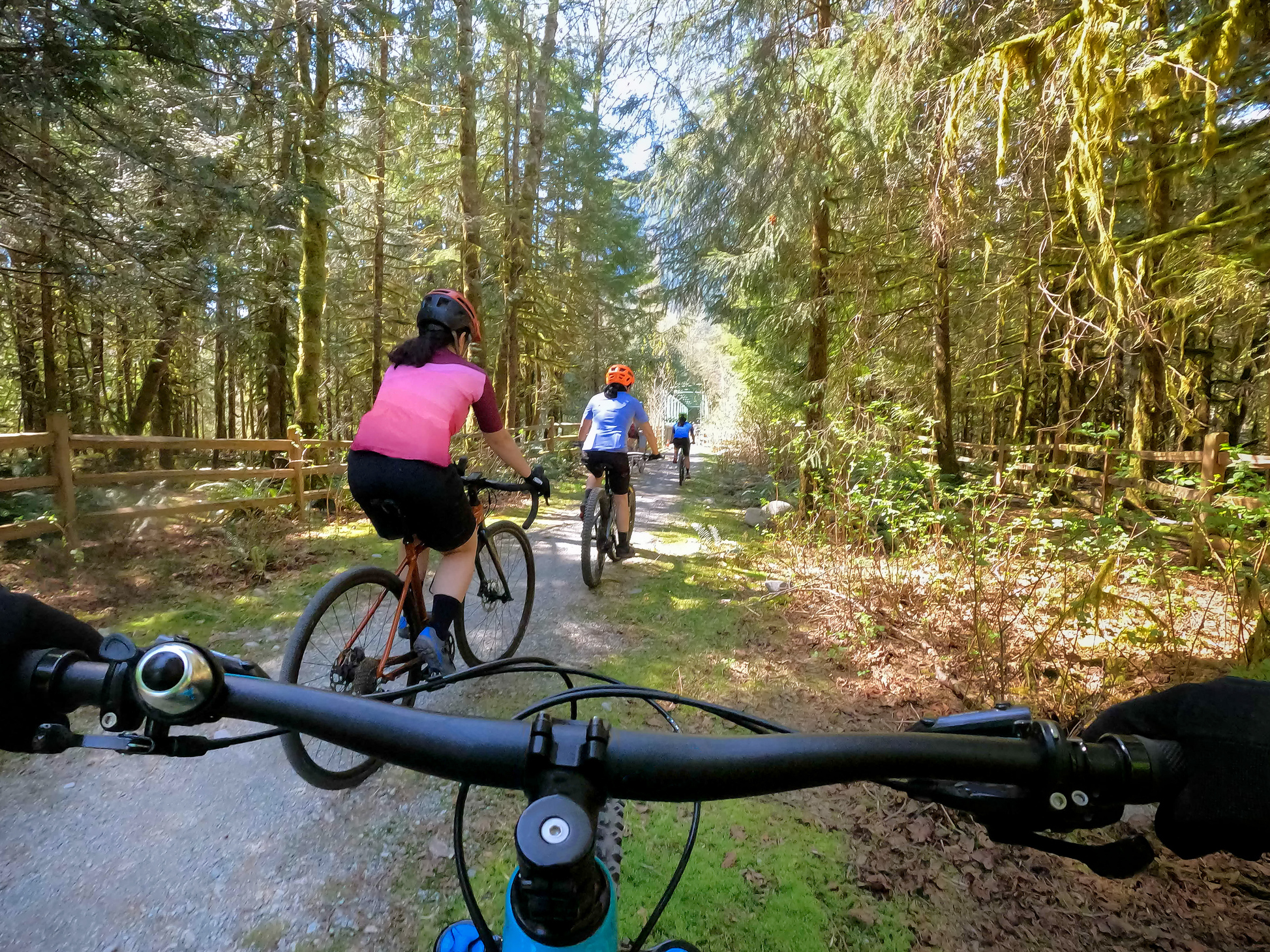 caption: A large new study shows people who bike have less knee pain and arthritis than those who do not.