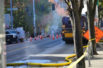 caption: A gas leak in Seattle's University District resulted in an evacuation order for surrounding blocks. The mist in the distance of this image is water vapor cooled by natural gas spewing from underground.