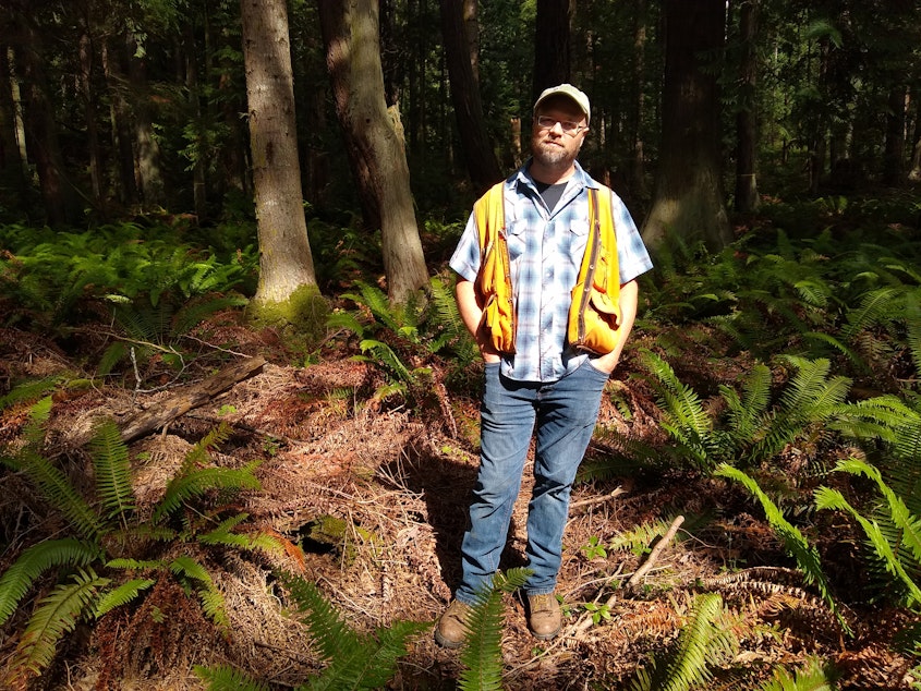 caption: Glenn Kohler, a forest entomologist for the Washington Department of Natural Resources, visits a forest near Bellingham where he spotted dead trees during an annual forest health survey.