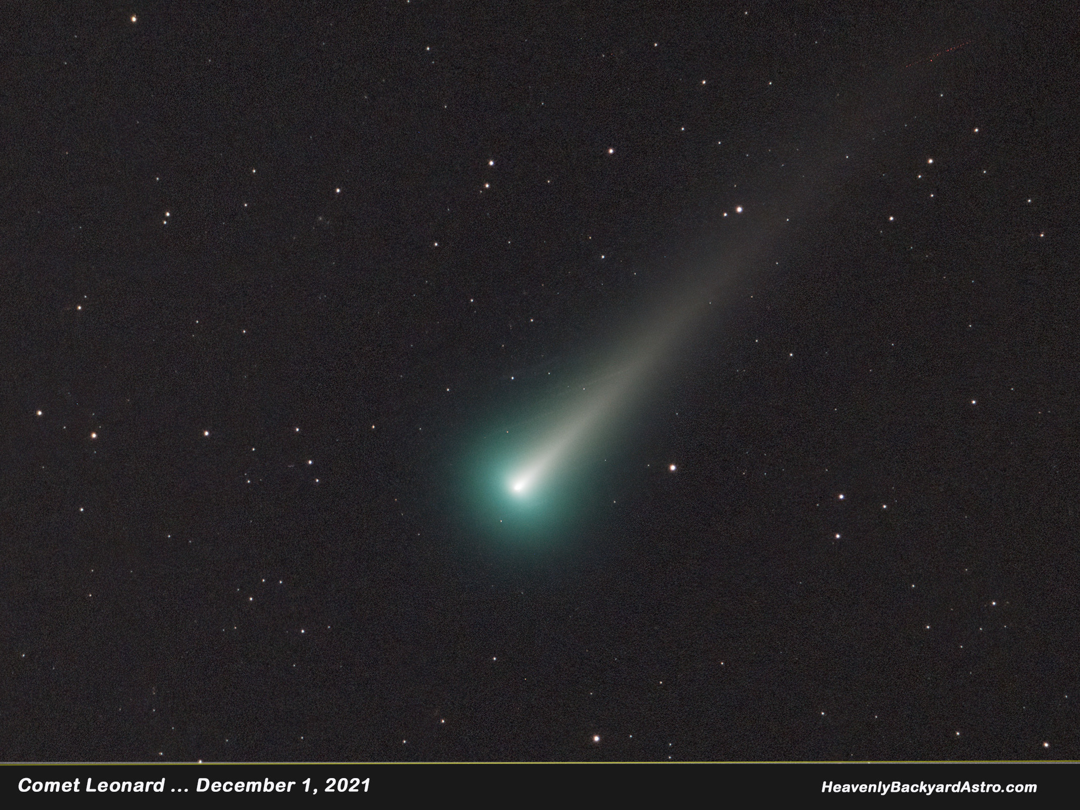 KUOW Leonard is the brightest comet all year. Here's how to see it