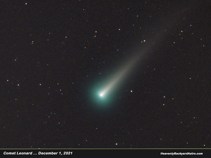 caption: Comet Leonard shot from Savannah, Ga., between 5 a.m. and 6 a.m. on Wednesday.