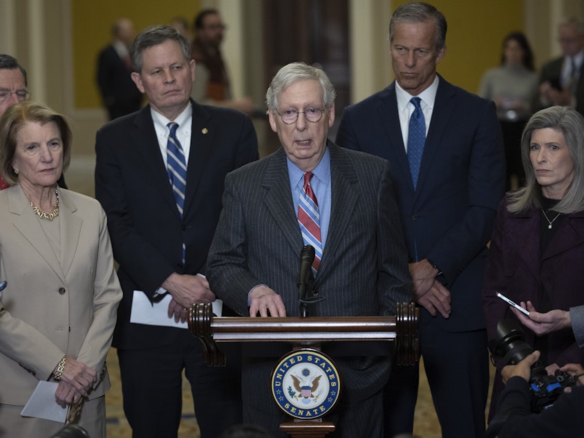 caption: Senate Minority Leader Mitch McConnell addressed the looming debt limit problem during a press conference on January 24.