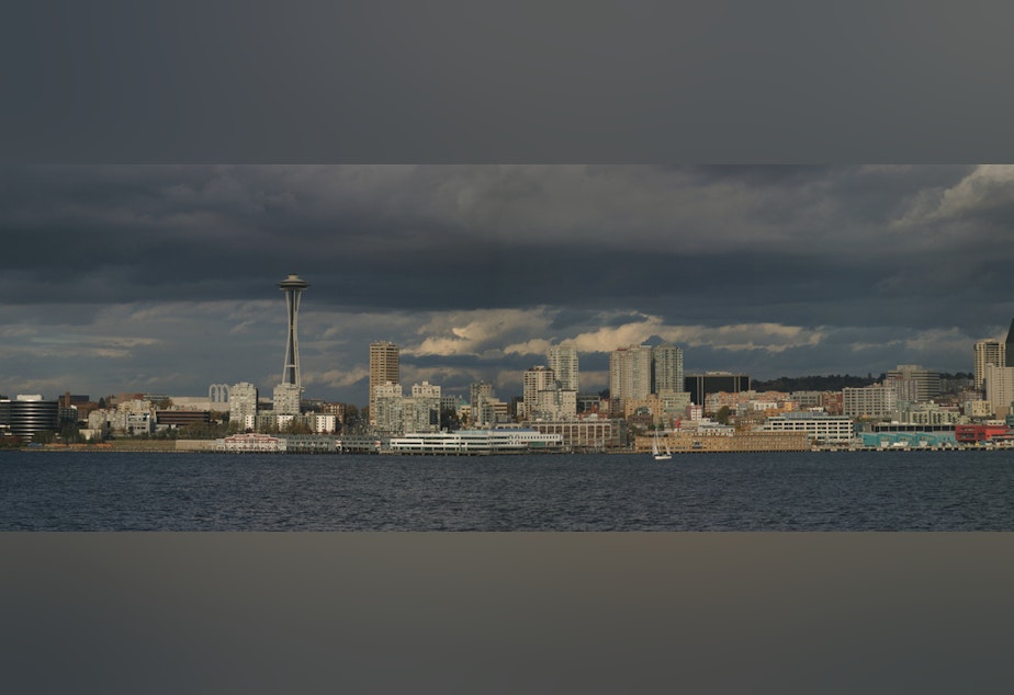 caption: The Seattle skyline, seen across the water.