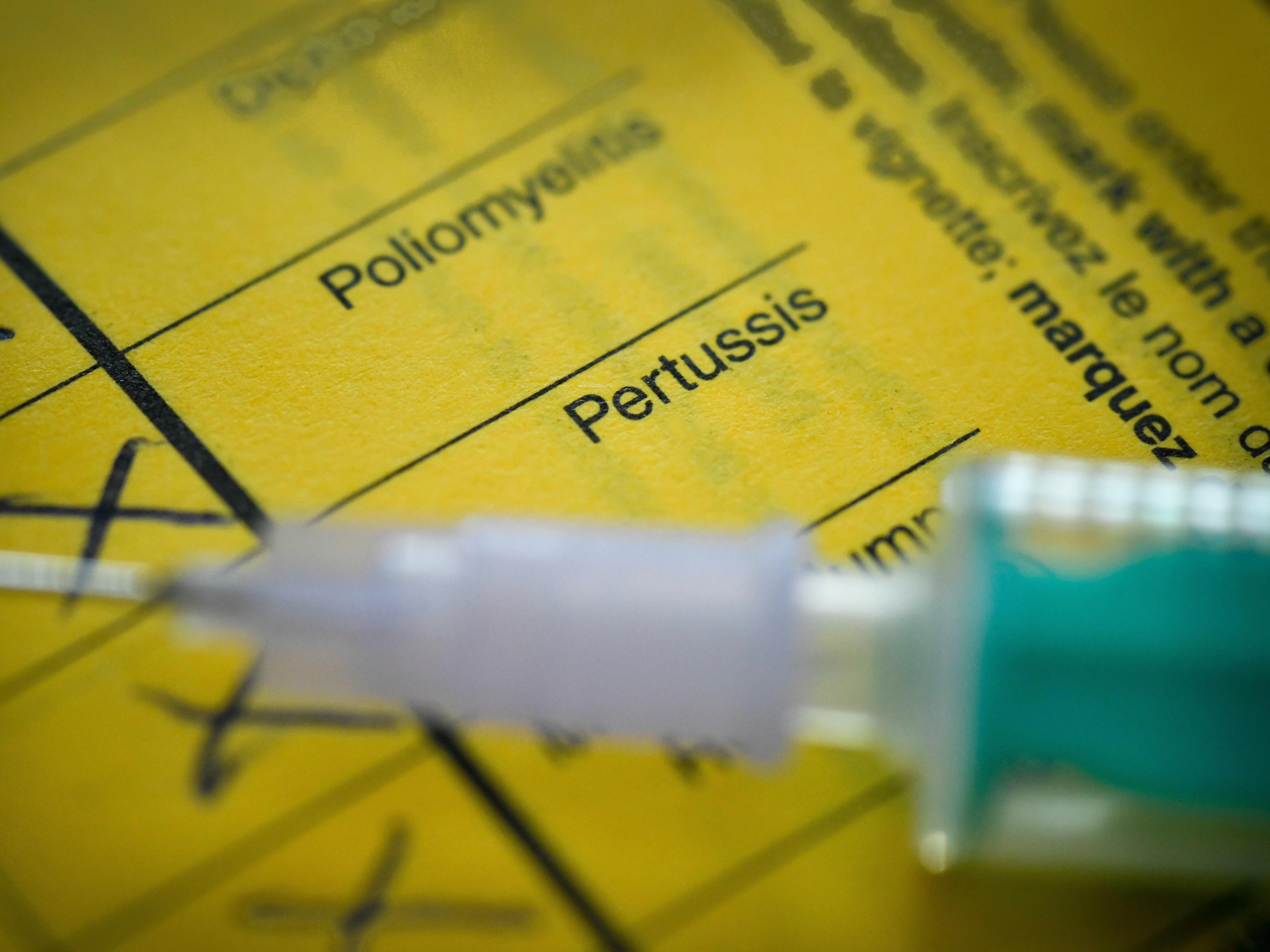 caption: The COVID-19 pandemic interrupted some peoples ability to get vaccinations for other infectious diseases, including pertussis