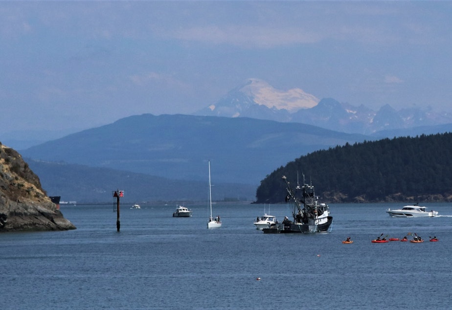 caption: The Aleutian Isle prepares to head out to sea after its support skiff towed it away from Cap Sante Marina in Anacortes on Aug. 12, with Mount Baker in the background.