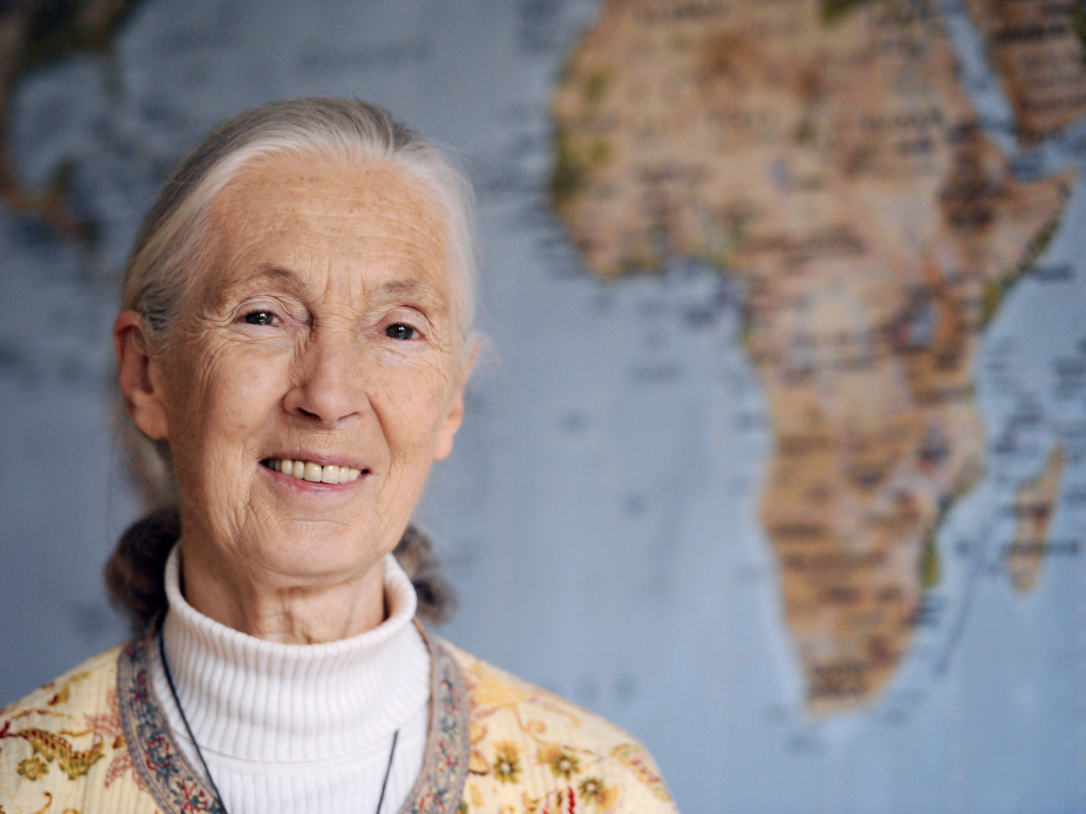 caption: British primatologist and conservationist Jane Goodall's decades of research on chimpanzees in the wild changed perceptions of relations between humans and animals.