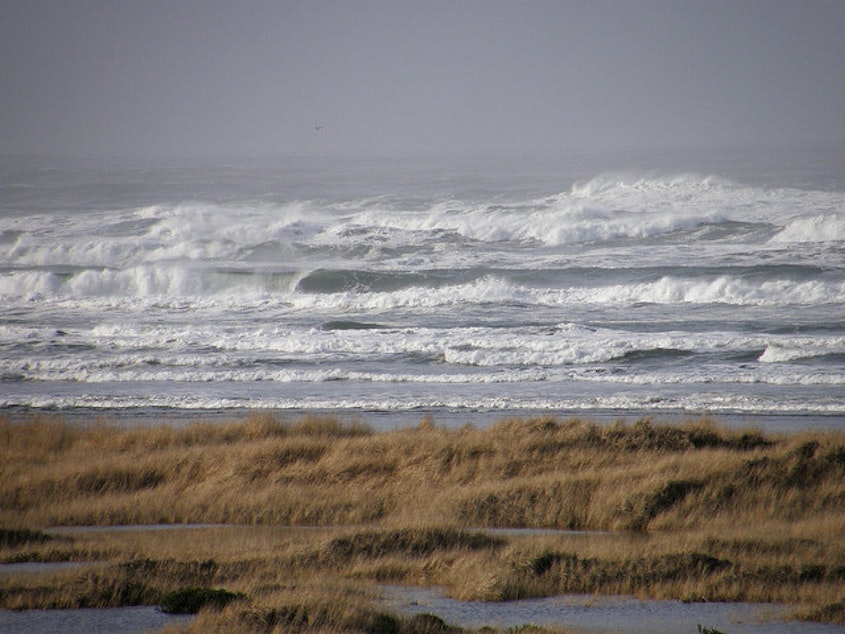 caption: The beach at Ocean Shores, WA. January 2010
