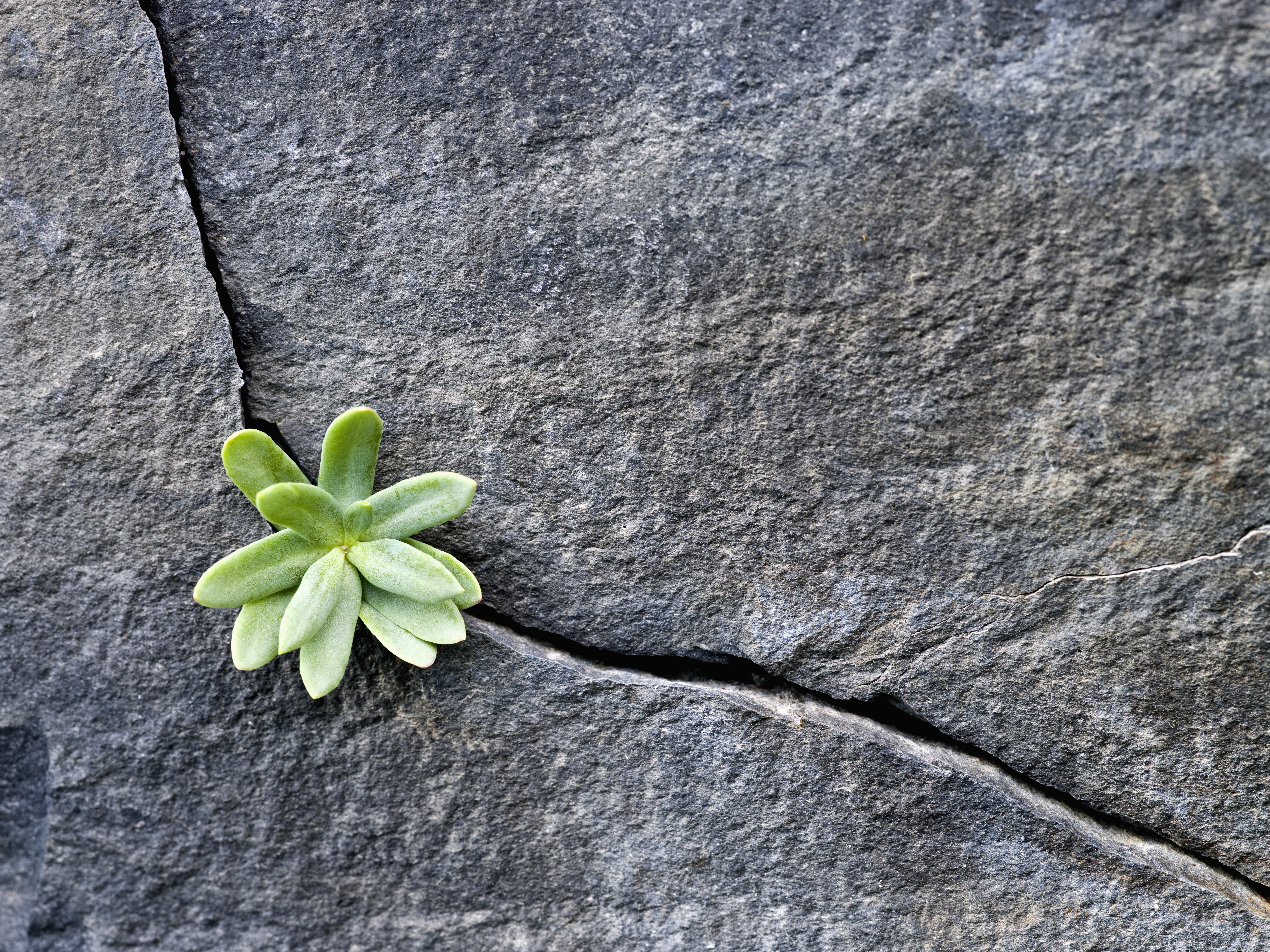 "When I see the patterns of nature and the way that nature treats me, it's all about optimism. The negativity comes from humanity," says Edgard Gouveia Jr., who co-founded a group based out of Brazil that uses games to mobilize large crowds to solve intractable problems.
