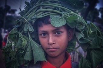 caption: Arfat Ahmed, age 10, photographed on Nov. 8, 2022 as he returns to his family's dwelling with gourd leaves to cook for dinner. This is one of the photos by the four Rohingya photographers honored for drawing attention to the plight of what the U.N. has called the "world's most persecuted minority."