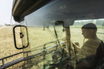 caption: A driver sits in the cab of a combine harvester during the summer harvest in a field of wheat in Varva, Ukraine. Ukraine accounts for more than 10% of the global wheat market. Russia's war threatens to disrupt the spring planting season.