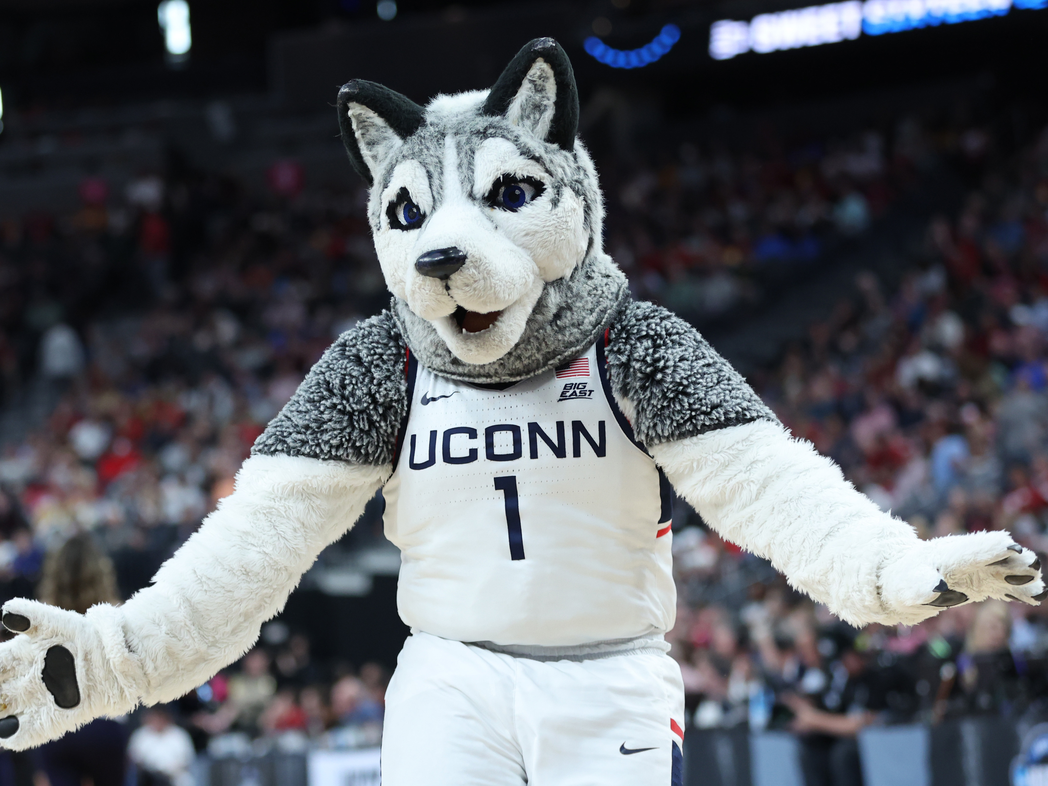 caption: The UConn Huskies are the No. 1 seed and are favored to win this year's NCAA March Madness tournament. But is Jonathan the Husky the cutest mascot in the competition?