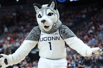caption: The UConn Huskies are the No. 1 seed and are favored to win this year's NCAA March Madness tournament. But is Jonathan the Husky the cutest mascot in the competition?