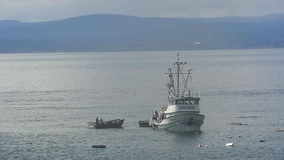 caption: Purse-seine boat Intruder rescues crew of the Aleutian Isle amid flotsam of the sunken boat on August 13 off San Juan Island.