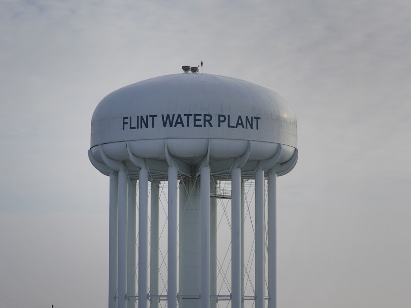 caption: Dr. Mona Hanna-Attisha, who was among the first to raise a red flag over the contamination of the water in Flint, Mich., says the filing of charges against former Gov. Rick Snyder "helps the city and the people move on and recover."