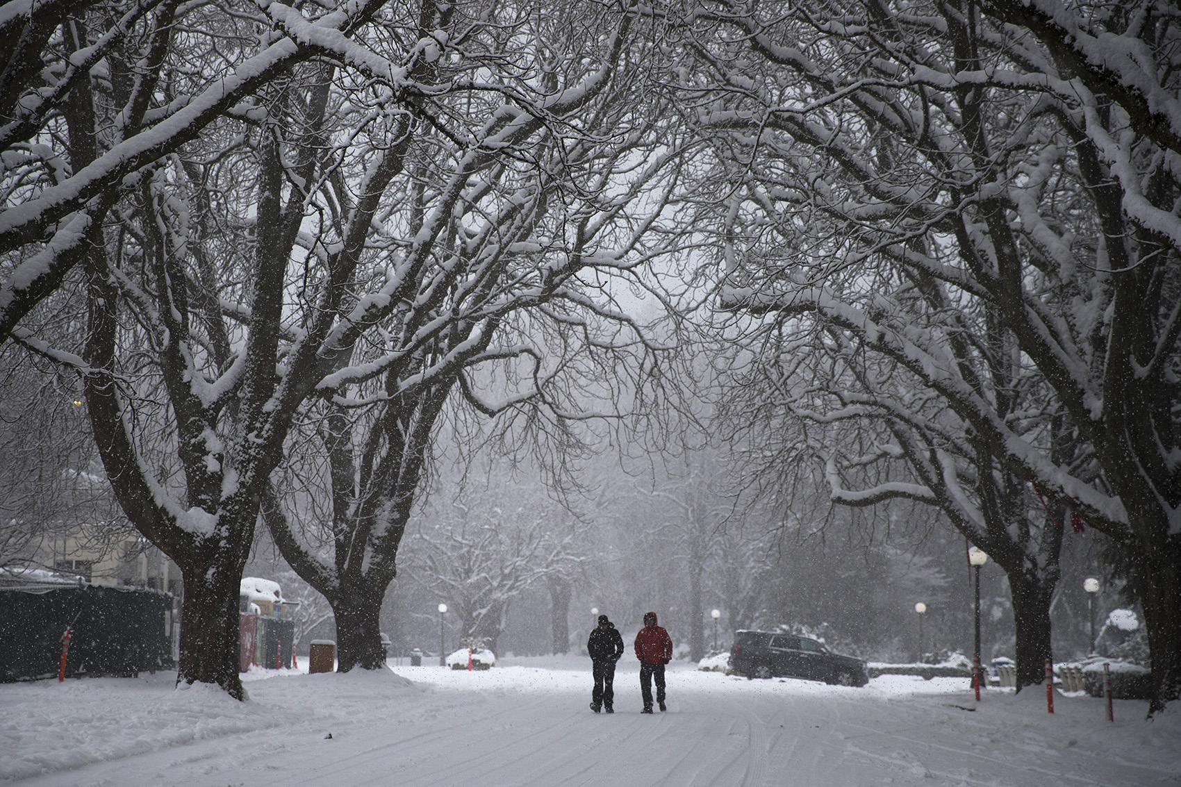 caption: Twin brothers Silvio Menezes, left, and Andre Menezes walk in the snow on Monday, February 11, 2019, at Volunteer Park in Seattle. 