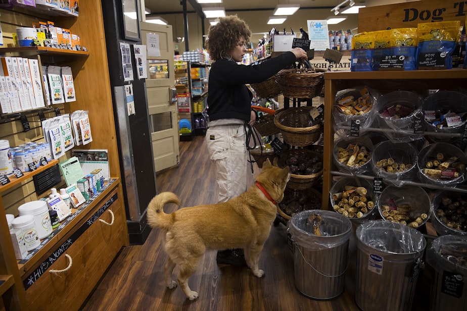 caption: Biggest Carbon Loser contestant Meredith Cooper buys a treat for her 8-year-old husky mix, Sun Ra, at Mud Bay in Seattle.