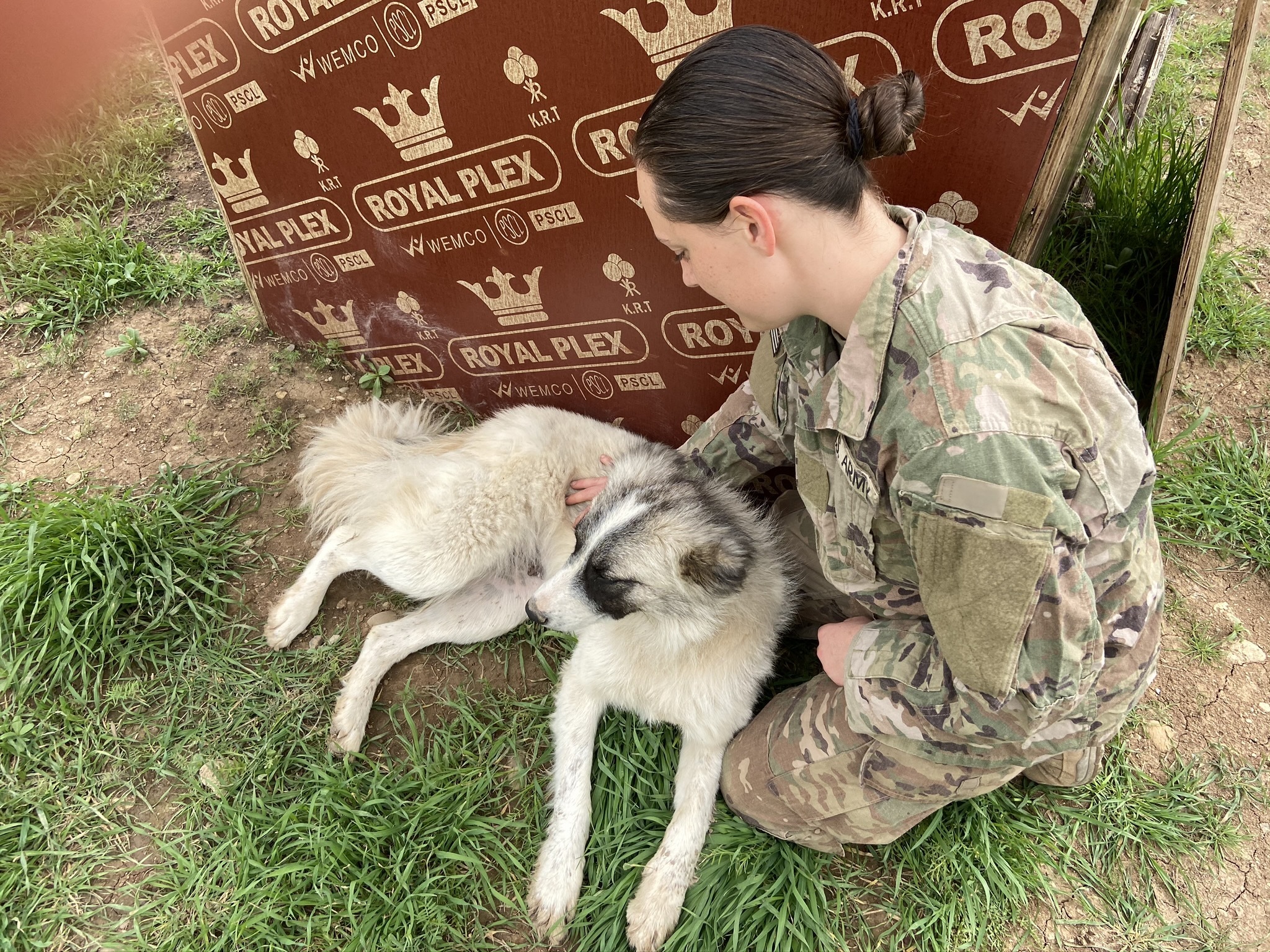 caption: 1st Lt. Shelby Koontz and Rumi meet after her overnight shift ends. They sit for a scratch session next to the dog house that the soldiers built for Rumi on base.