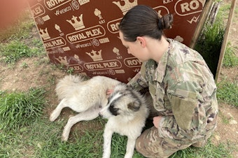 caption: 1st Lt. Shelby Koontz and Rumi meet after her overnight shift ends. They sit for a scratch session next to the dog house that the soldiers built for Rumi on base.