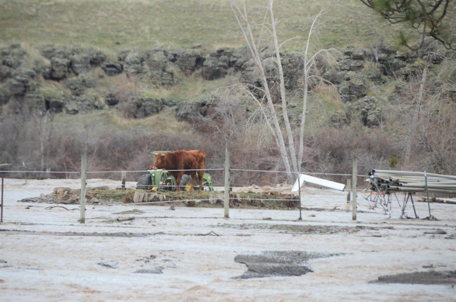 caption: Emergency responders in northeastern Oregon responded Thursday and Friday, Feb. 6 and 7, to flooding around Umatilla, Oregon, and the reservation of the Confederated Tribes of the Umatilla.